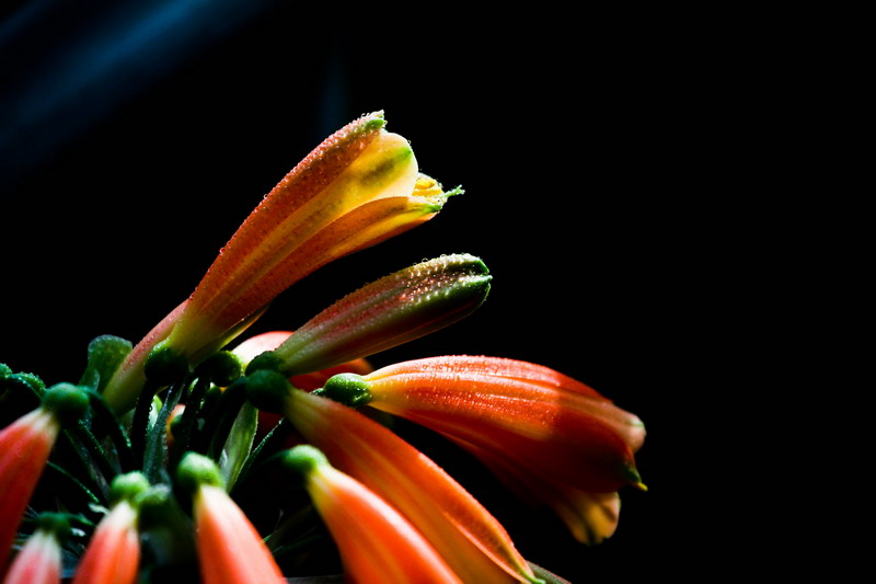 img_4896_СС.jpg