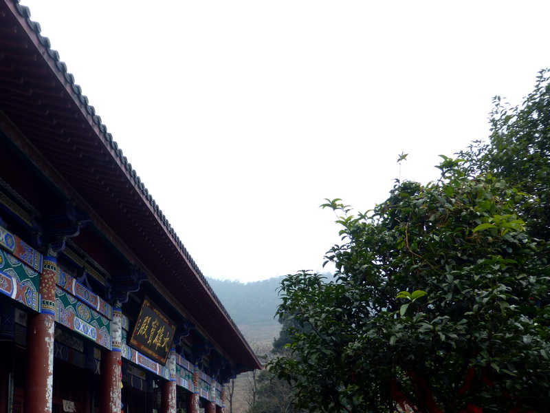 p1020761.jpg