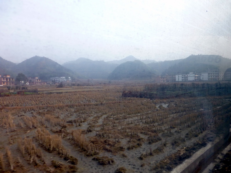 p1020787.jpg