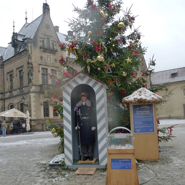 p1020435.jpg