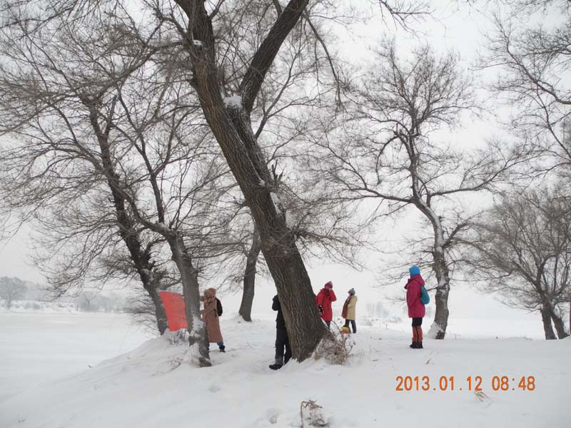 dscn1179.jpg