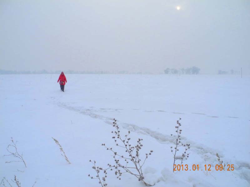 dscn1200.jpg