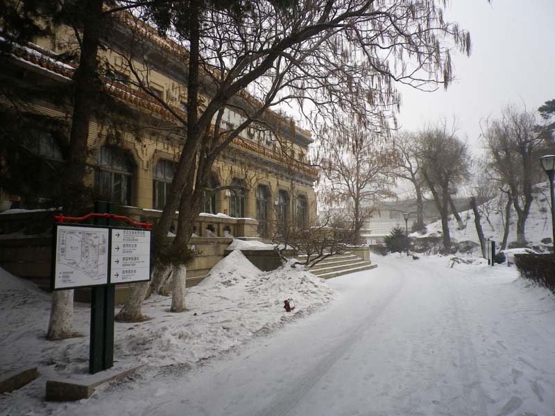 imgp8266.jpg