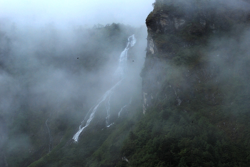 dsc_0767.jpg