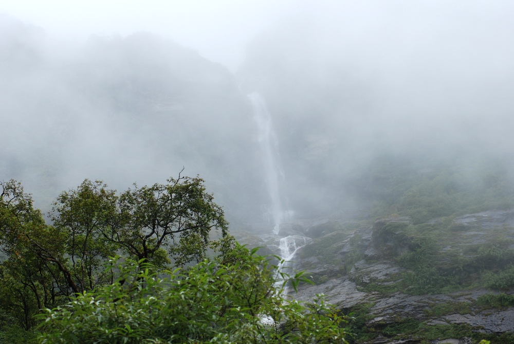 dsc_0769.jpg