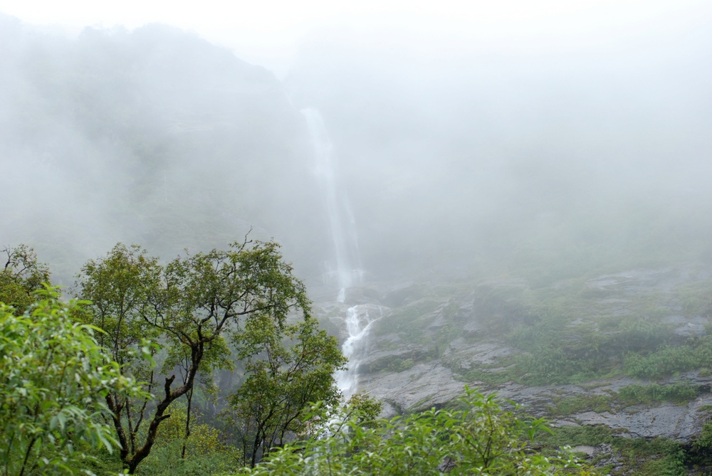 dsc_0774.jpg