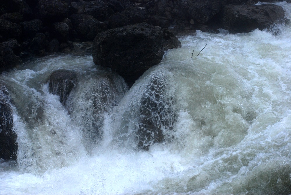 dsc_0782.jpg