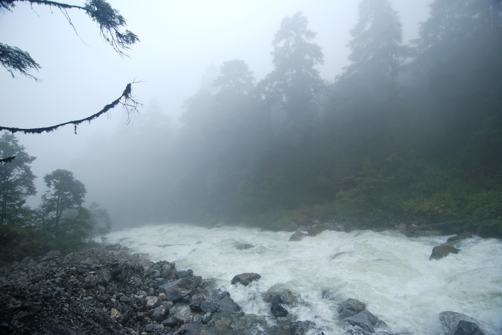 dsc_0790.jpg