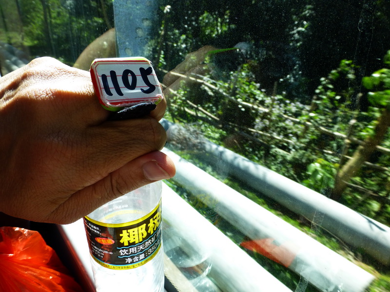 p1000711.jpg