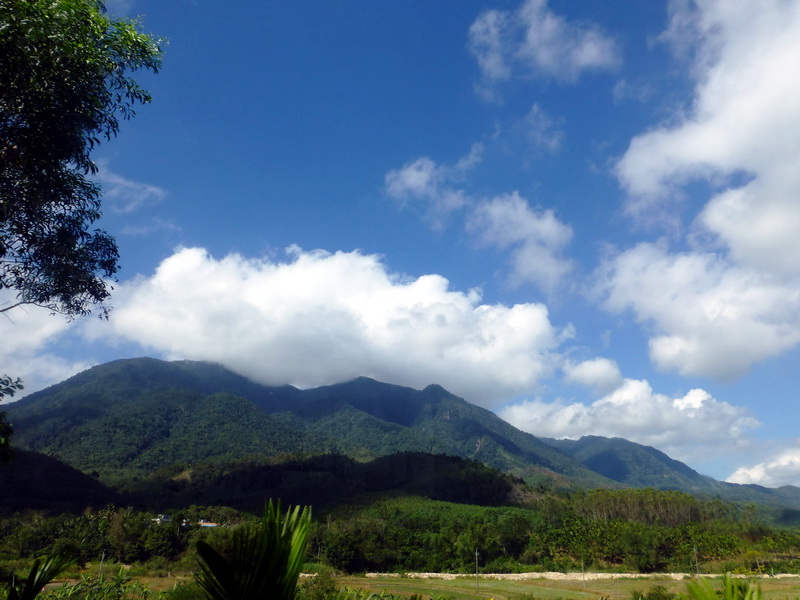 p1000717.jpg