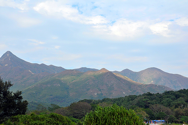 dsc_8731_.jpg