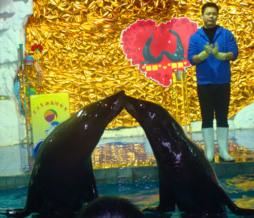 dsc09247___.jpg