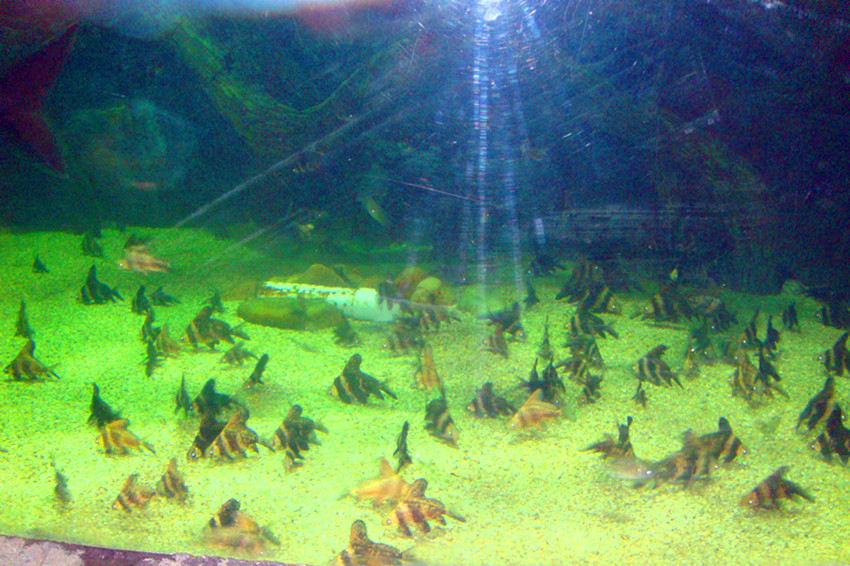 dsc09233__.jpg