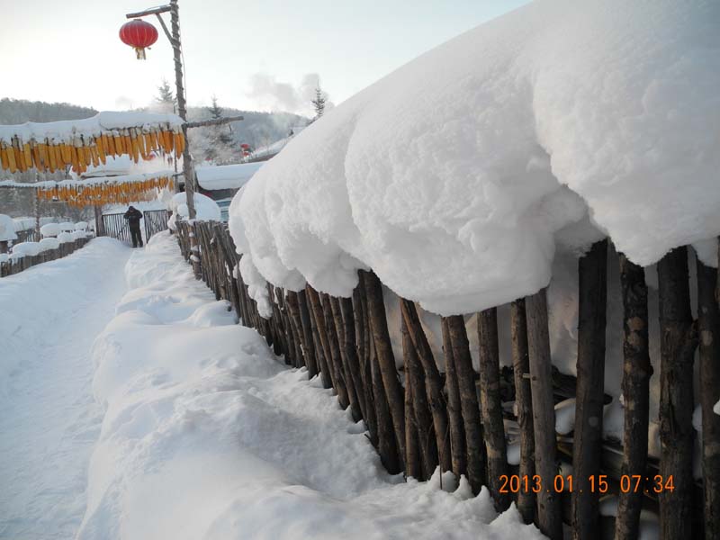 dscn1495.jpg