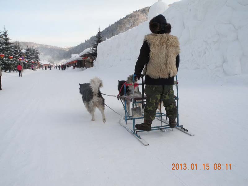 dscn1550.jpg