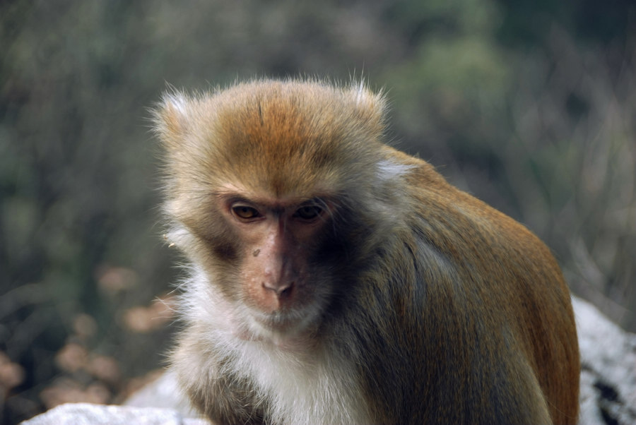 dsc_0093.jpg