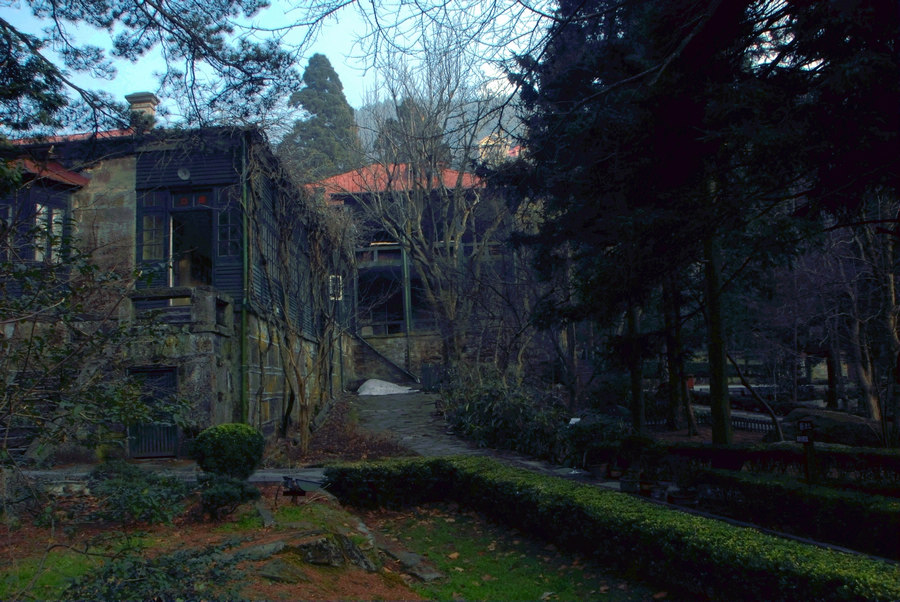 dsc_0188.jpg