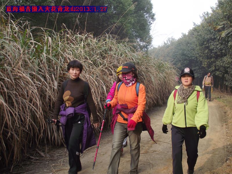 dscf8050.jpg