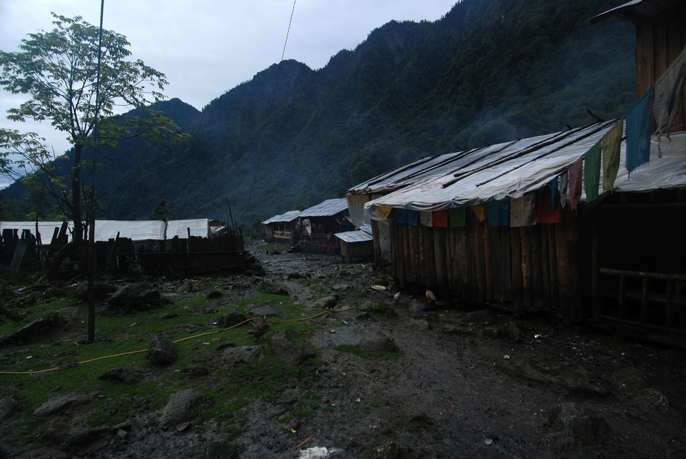 dsc_0810.jpg