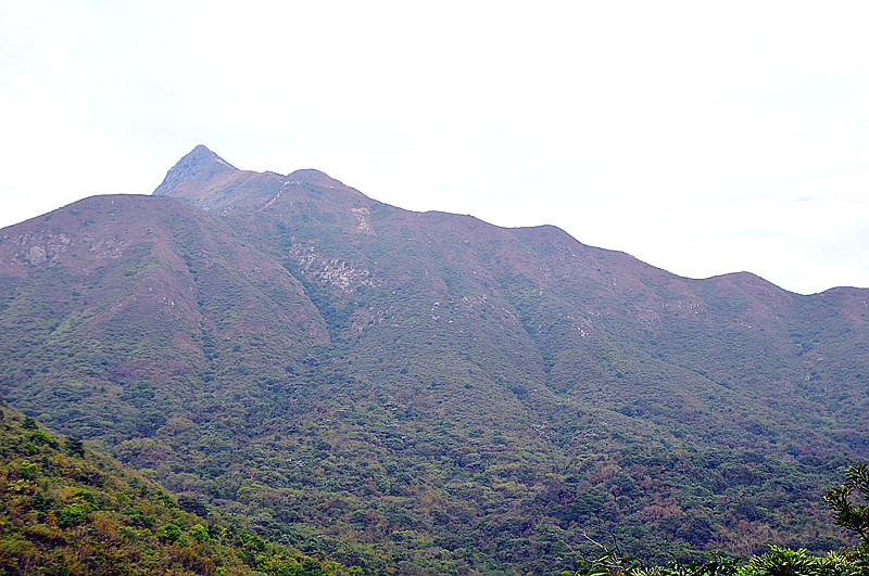 dsc_8758_.jpg