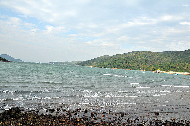 dsc_8772_.jpg