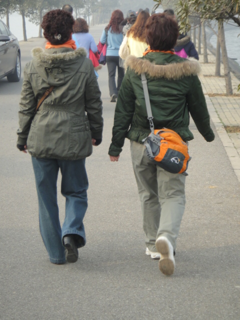 dsc08204.jpg