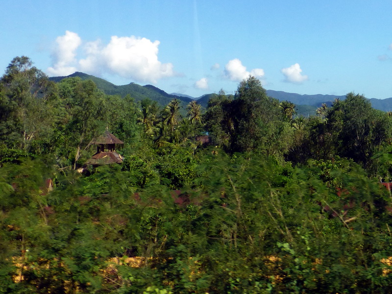p1000793.jpg