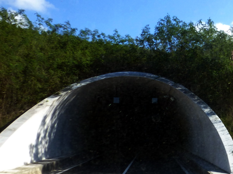 p1000796.jpg