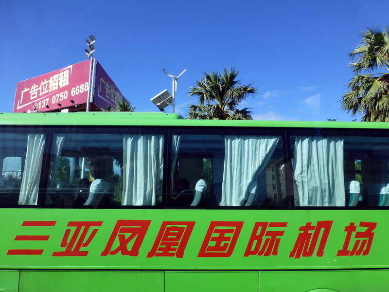 p1000802.jpg