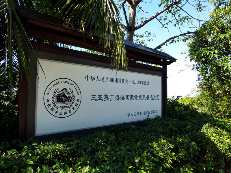 p1000826.jpg
