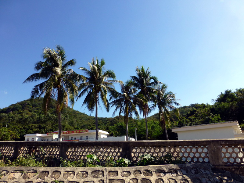 p1000860.jpg