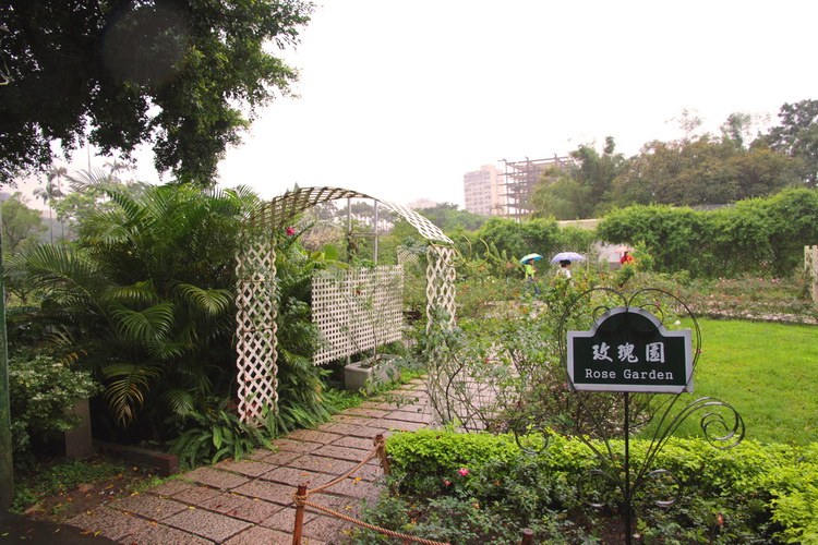 r28.jpg