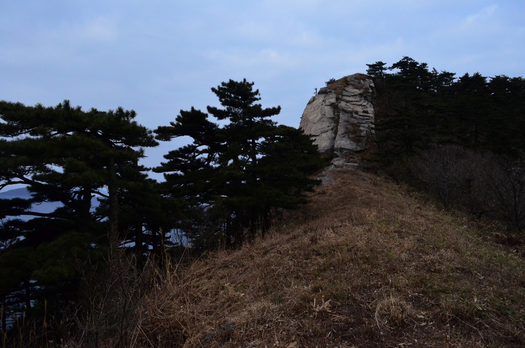 dsc_0593.jpg