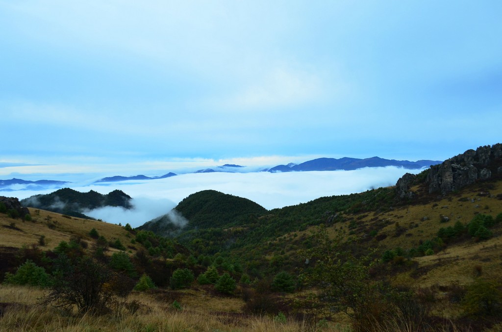 dsc_1116.jpg
