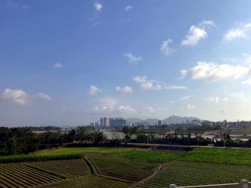 p1000890.jpg