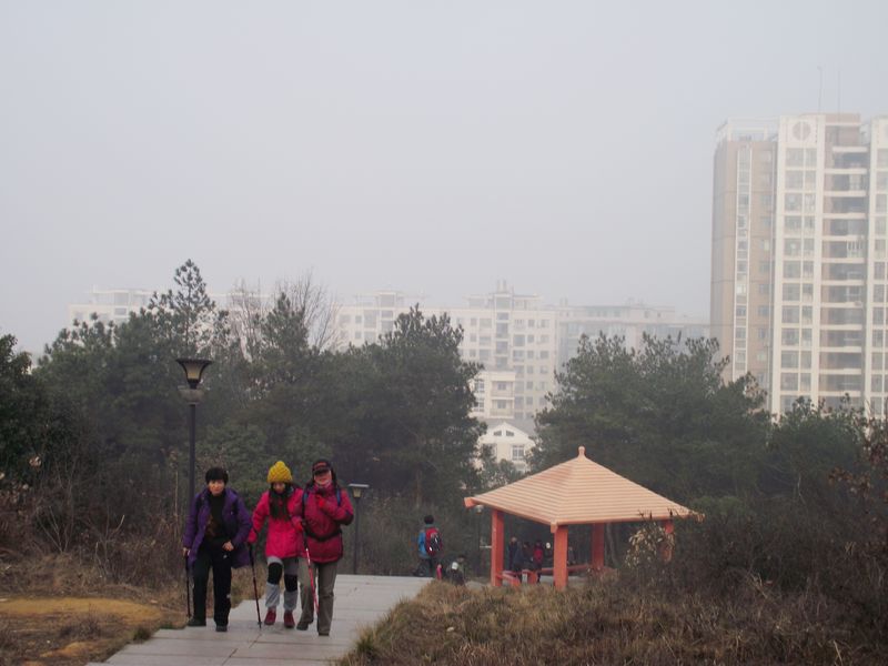 dscf8029.jpg