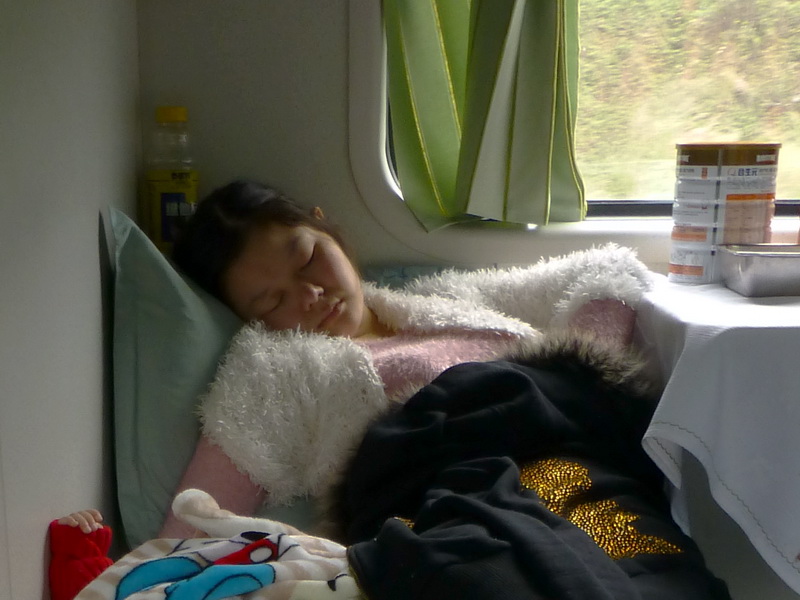 p1000931.jpg