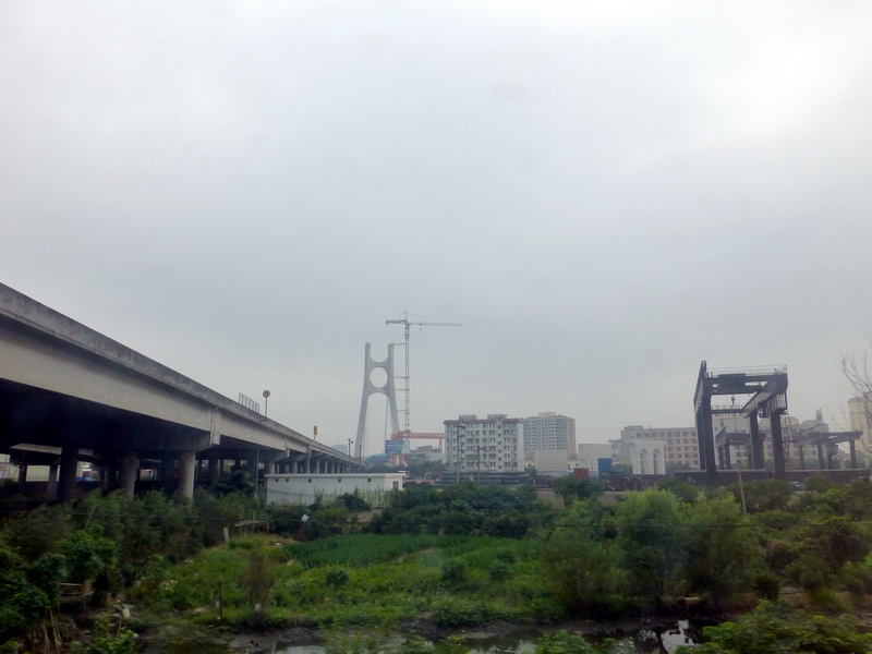 p1000938.jpg