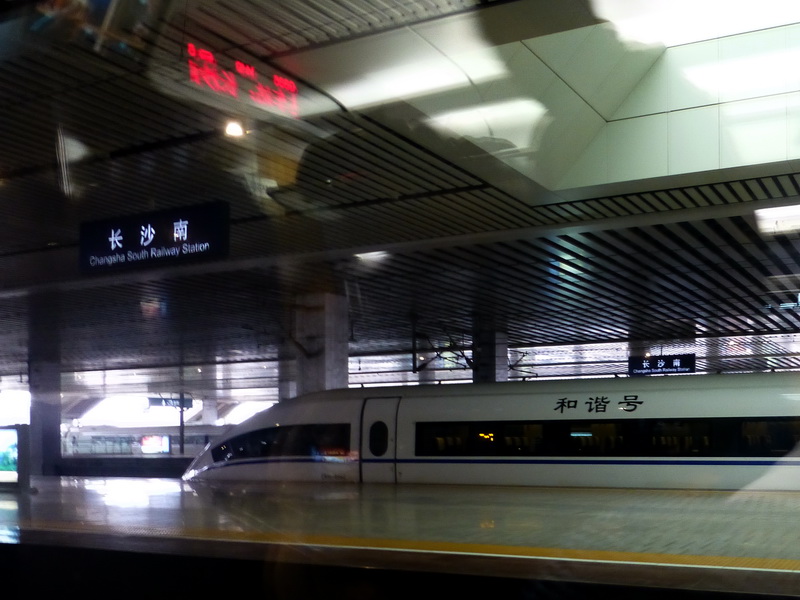 p1000961.jpg