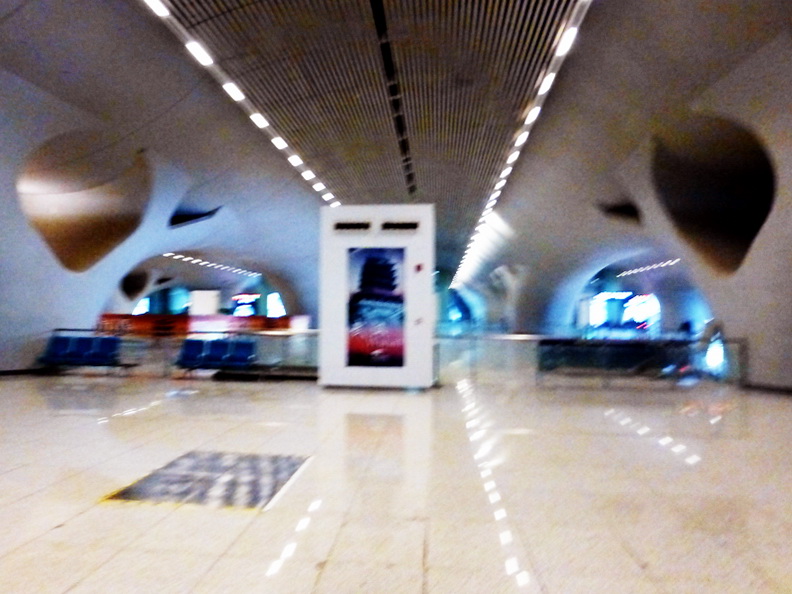 p1000972.jpg