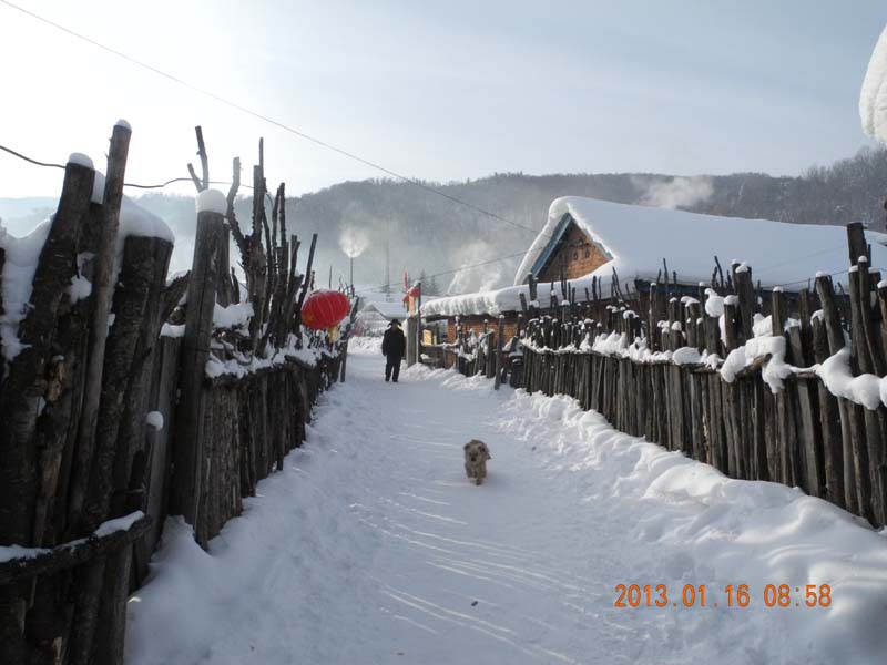 dscn1833.jpg