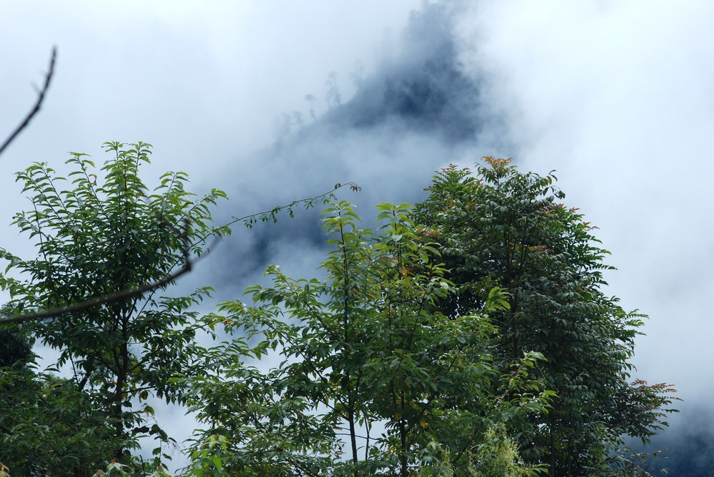 dsc_0998.jpg