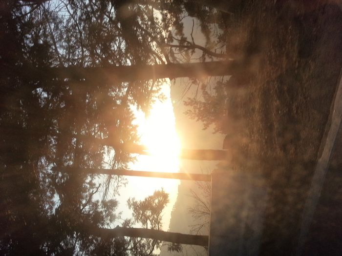 20130123_172103.jpg