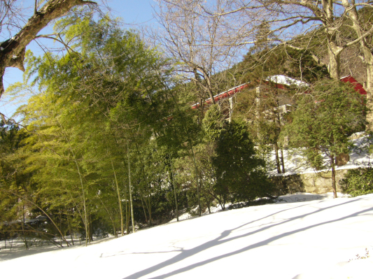 p1050336.jpg