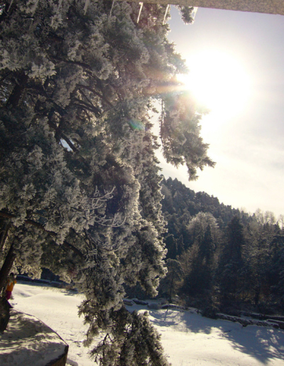 p1050182_.jpg