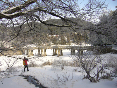 p1050155.jpg