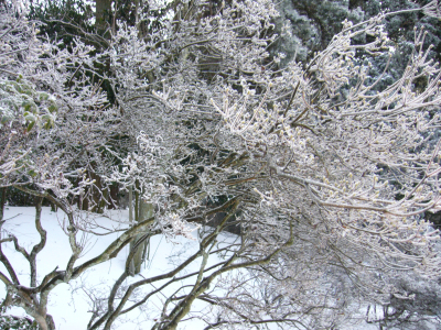 p1050159.jpg