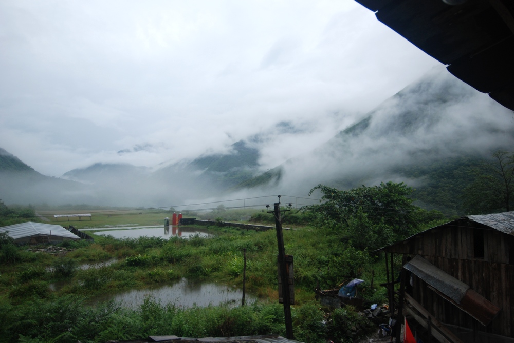 dsc_0049.jpg