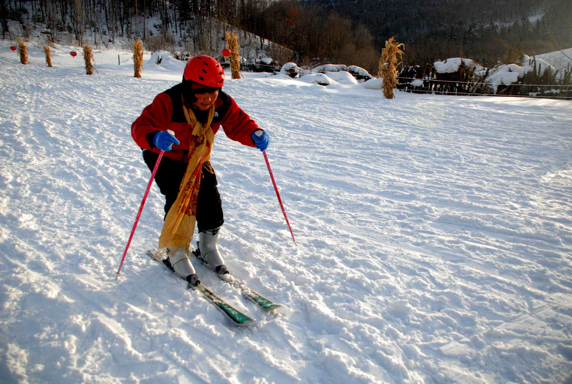 31.jpg