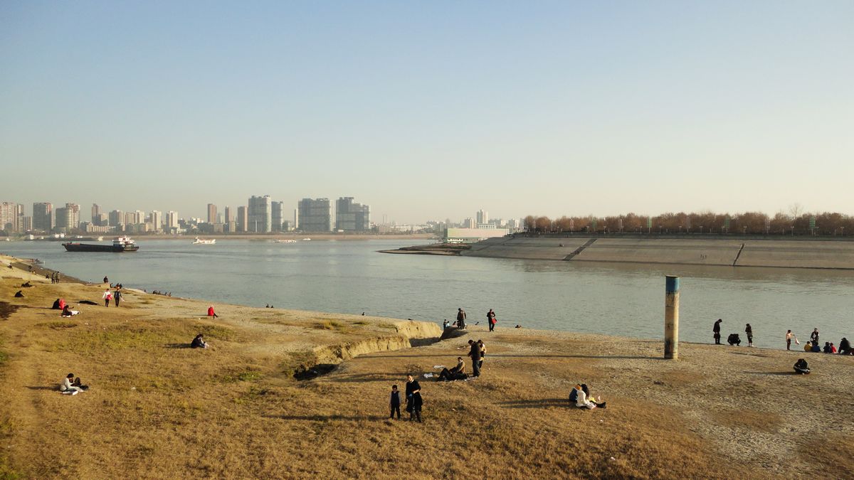 neo_img_dsc00905.jpg